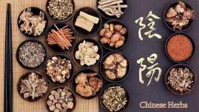 Why Chinese medicine is BEST in the world ? | Visit - Traditional Chinese Medicine (TCM )