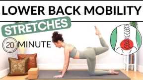 Lower Back Mobility Stretches 💪 (20 Minute Yoga Stretch)