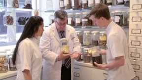 UTS Science: Chinese Medicine Clinic