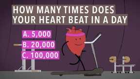 HEART HEALTH: Do You Know How Many Times Your Heart Beats Everyday?