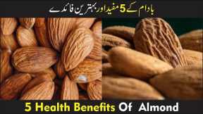 5 Health Benefits Of  Almond In UrduHindi | Health Hacks