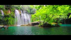 Instant Relief from Stress and Anxiety, Detox Negative Emotions, Calm Nature Healing Sleep Music