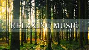Great Mind Relaxing Music Without Words | Soft Music Helps Reduce Stress Very Effectively