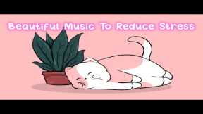 Cat Lofi 💖- Beautiful Music To Reduce Stress - Music to Relax, Drive, Study, Chill