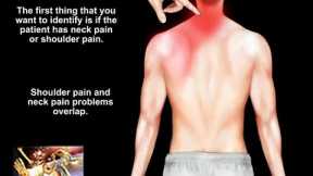 Neck Pain Causes and Treatment  - Everything You Need To Know - Dr. Nabil Ebraheim