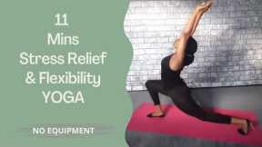 11 Minutes Yoga for STRESS RELIEF & FLEXIBILITY | STRETCH YOGA