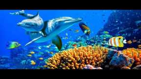 Deep Healing Music, Underwater Relaxation Music, Instant Relief from Stress and Anxiety, Calm Nature