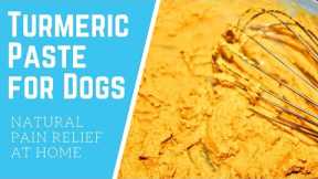 Turmeric Paste for Dogs - Natural Pain Relief for Arthritis at Home