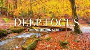 Deep Focus Music To Improve Concentration - Christmas music to help reduce stress #15