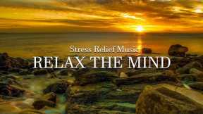 Best Relaxing Music - Piano Music Relax Mind, Reduce Stress, Study and Sleep Well