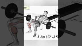 Most Effective Legs Workout | You Should Know | IK Fitness Gym