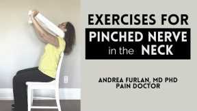 Exercises for pinched nerve in the neck (Cervical Radiculopathy) and neck pain relief