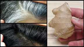 Reverse White Hair To Black Hair Naturally And Permanently ! Natural Grey Hair Remedy Works 100% !