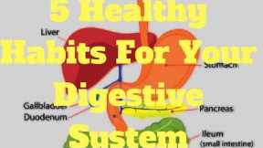 5 Healthy Habits For Your Digestive System