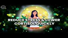 Reduce Stress And Lower Cortisol Quickly | Rife Frequencies For Anxiety Stress & Depression | 528hz