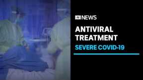 Treating severe COVID-19 becoming more challenging, scientists say | ABC News