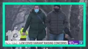 Health experts: New COVID variant raises concern over its resistance