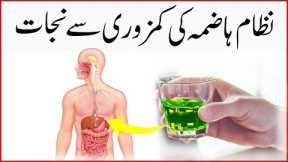 How To Boost Digestive System