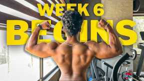 WEEK 06 | CURRENT PHYSIQUE | PREP EP 17