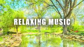 Relaxing Music With Nature Sounds | Reduce Stress and Anxiety - Relax ur Soul