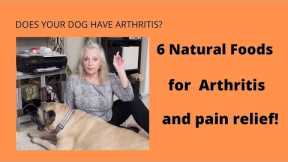 6 natural anti- inflammatory foods for Arthritis and joint pain (your dog will love you)