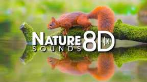 Relax your mind, reduce nervous disorders, relieve stress with 8D Nature Sounds and Piano Music