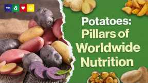 Potatoes - A Miracle Of Nutrition?