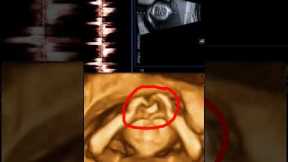 Baby making heart emoji in mother's womb👶❤ Development Of The Baby In The Womb Month By Month👶❤