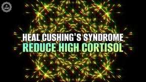 Heal Cushing's Syndrome | Reduce High Cortisol | Lower Stress & Anxiety Levels | Binaural Beats