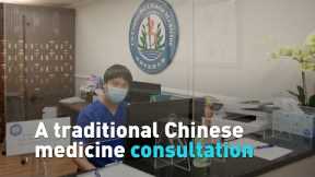 A traditional Chinese medicine consultation