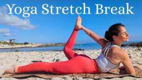 Yoga Break | 10 Minute Yoga Stretches to feel Amazing! Quick & Effective
