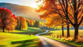 Autumn emotions - Reduce stress and fatigue, gentle music restores the nervous system
