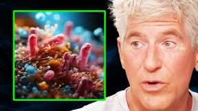 EAT THIS WAY to Heal Your Microbiome & REVERSE Visceral Fat | Dr. Sean O’Mara