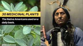 30 Medicinal Plants The Native Americans Used On a Daily Basis | Blissed Zone