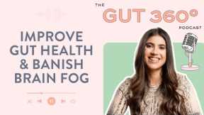 How To Improve Your Gut Health and BANISH BRAIN FOG in 5 Steps -The Gut 360 Podcast Ep3. Eli Brecher