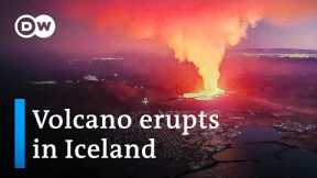 Volcano eruption in Iceland threatens nearby Grindavik | DW News