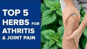 Arthritis Treatment - Top 5 Herbs for Arthritis & Joint Pain