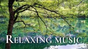 Relaxing Music Helps Reduce Stress And Anxiety 🍀 Sleep Music, Heal The Mind, Body And Soul