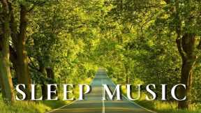 Relaxing Music - Heal The Mind, Calm The Nervous System and Reduce Stress 🌿 Sleep Music
