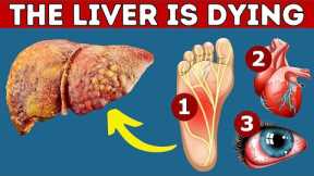 Liver function and Liver problem symptoms | 7 Symptoms You Should Never Ignore.