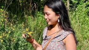 [ASMR] Natural Herbal Medicine Part 1: Picking Medicinal Flowers and Plants 🌼