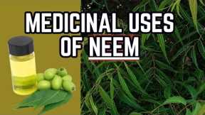 NEEM - Uses in TRADITIONAL MEDICINE / Earth's Medicine