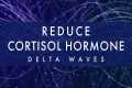 Reduce Cortisol Hormone Levels ✧