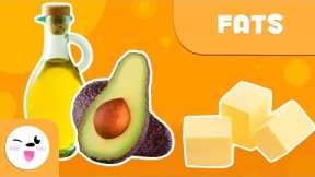 What are fats? - Healthy Eating for Kids