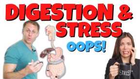 What Stress is Really Doing to Your Digestive System