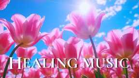 Healing Music Helps Reduce Stress, Fatigue, Depression And Negativity🌷Deep Relaxation |Nature Sounds