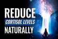 Reduce Cortisol Levels Naturally |