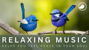 Relaxing Music With Bird Sounds - Healing Music Helps Reduce Stress, Fatigue and Depression