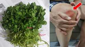 Top 5 Foods That STOP Joint Pain Fast & Permanently! Get Rid Of Joint Pain Naturally!