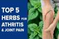 Arthritis Treatment - Top 5 Herbs for 